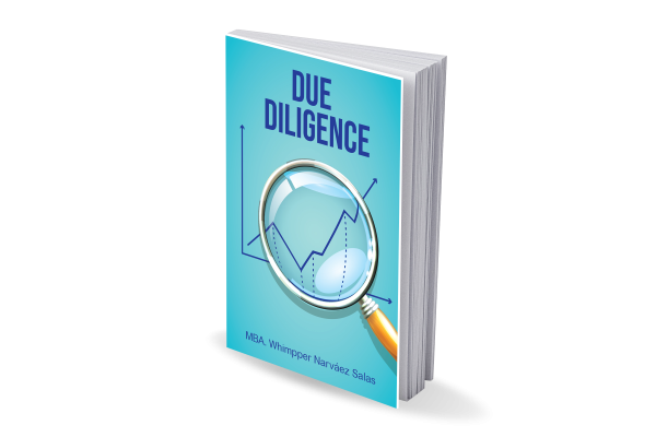 DUE DILIGENCE FINANCIERO: Una guía para su aplicación con un ejercicio práctico. (Versión Digital)