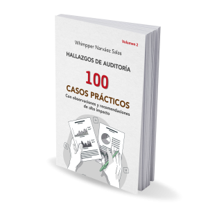 HALLAZGOS DE AUDITORÍA VOLUMEN 2: 100 casos prácticos con observaciones y recomendaciones de alto impacto. (Versión Digital)