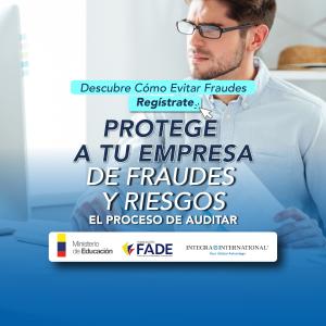 El Proceso de Auditar: Estrategia para la Detección de Errores y Fraudes