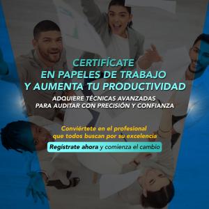 Elaboración De Papeles De Trabajo Para Auditoría