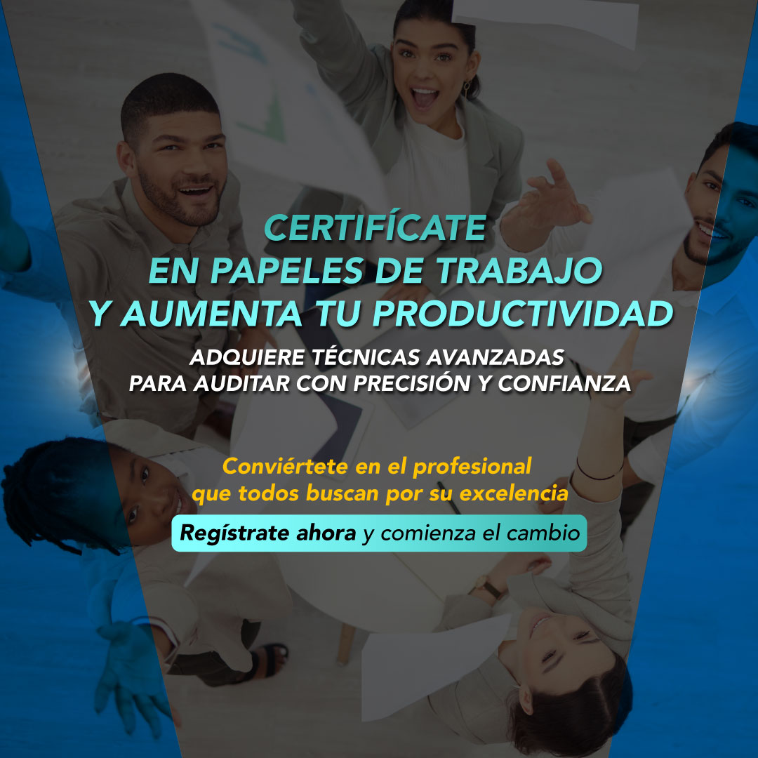 Elaboración De Papeles De Trabajo Para Auditoría